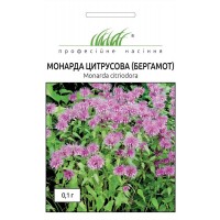 Семена Монарда (бергамот) 0,1г